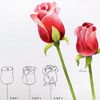 maryi2583