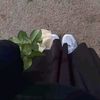 ana_alyashbi