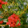 natur.von.kateryna
