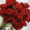 ghalby.majrouh