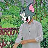 arsalan.ahmad277