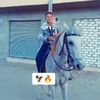 user50227667556913