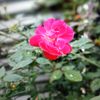 user9619079615112
