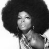 jamesbrown7954