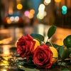 user4597111881578