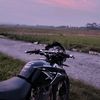 blackmamba_869