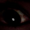 theoneinthewoods666