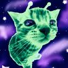 cat249706