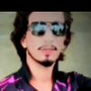 gul.shad0016