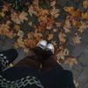 aoifesdigitaldiary
