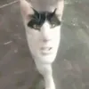 lyublyu_babok