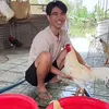 Bảo Sting