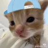 Phươnggg