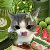 alisa_k12301