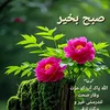 muhammad.usman4389