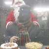 kuvatov_ilgam