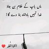 dagha804