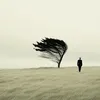 siyah_bakhtt9