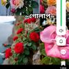 user90674130073486