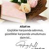 nazli50101