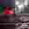 michaelsmith4842