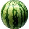 mrwatermellon6
