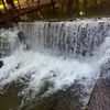 zaherkayed677