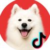 topchien7