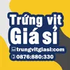 www.trungvitgiasi.com