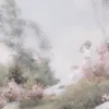 aeakiraox