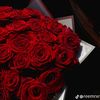 user9233926943981