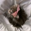 nourmlqw6rv