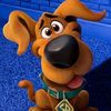davido___lopez