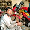 tanveer.ashraf203