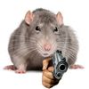 ratwithagun7