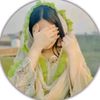 shabir4891