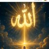 sevim.elhlil