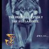 jorlando.valdez.q
