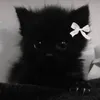 niki26196