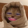 catpou_1881