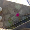 user9788vehjhw