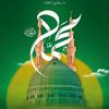 naeem.saifi61
