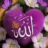 avan.kamal25