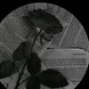 user5195596243686