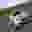 michaelwhite9283