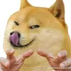 ka_pouugiii