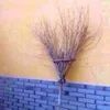 venichekoffical