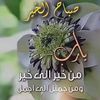 user8016355463363
