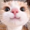 chubbyby38