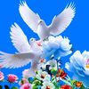 user4853631202724